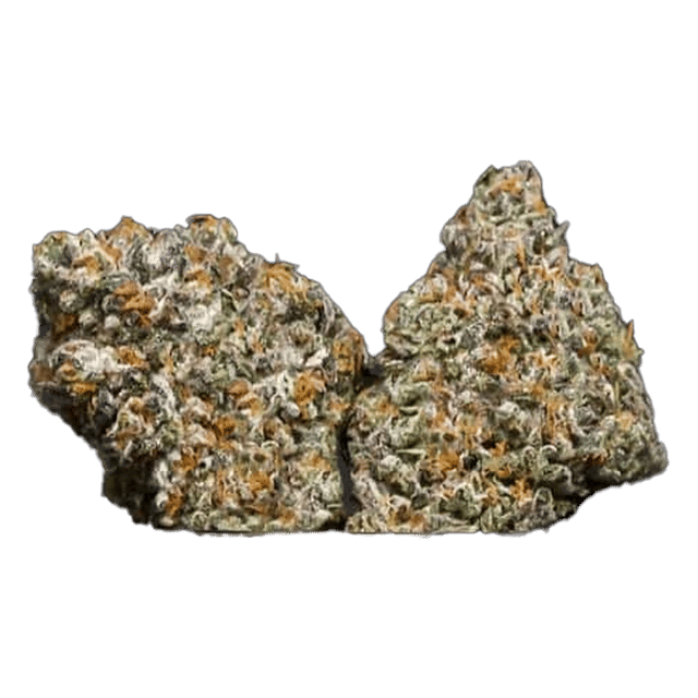 Blue Burst - 40's Infused Flower