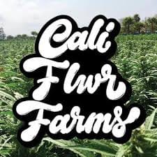 Cali Flwr Farm: Maui Wowie