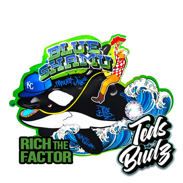 TEDS BUDZ — Blue Shamu