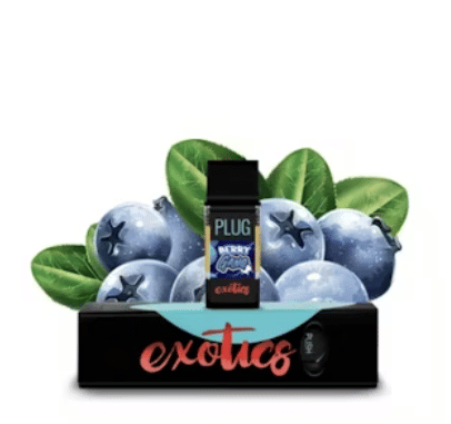 PlugPlay: Berry Gang