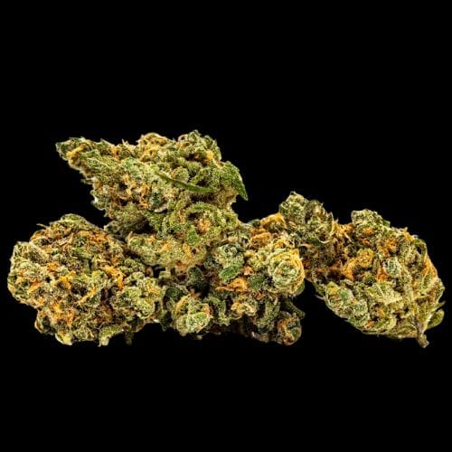 CAM: Blue Cookies