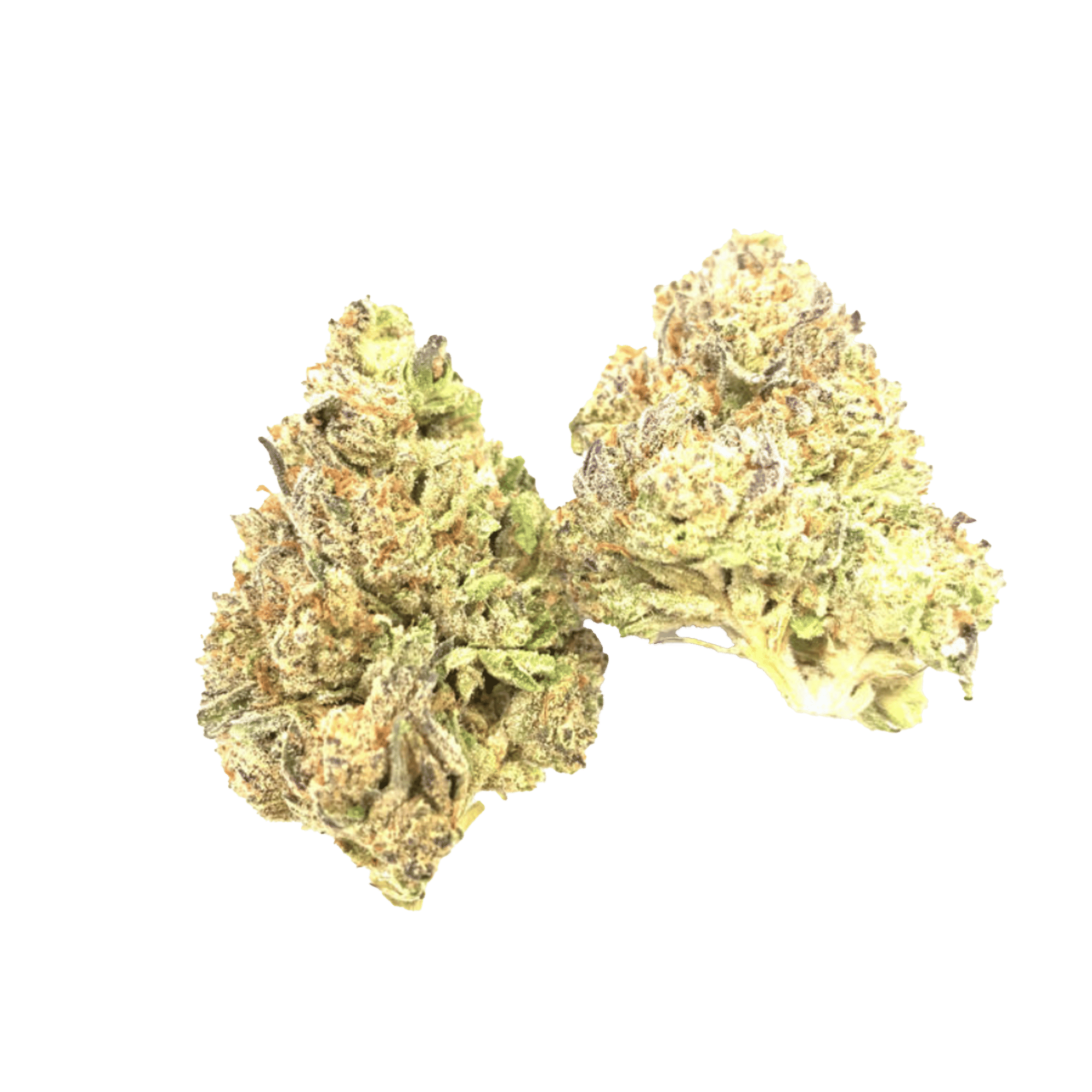 Space Station - Flower - Brite Labs - Eighth - $14.99 - Flower