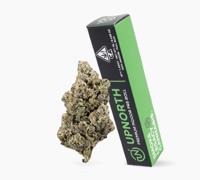 UpNorth — Platinum Afghani