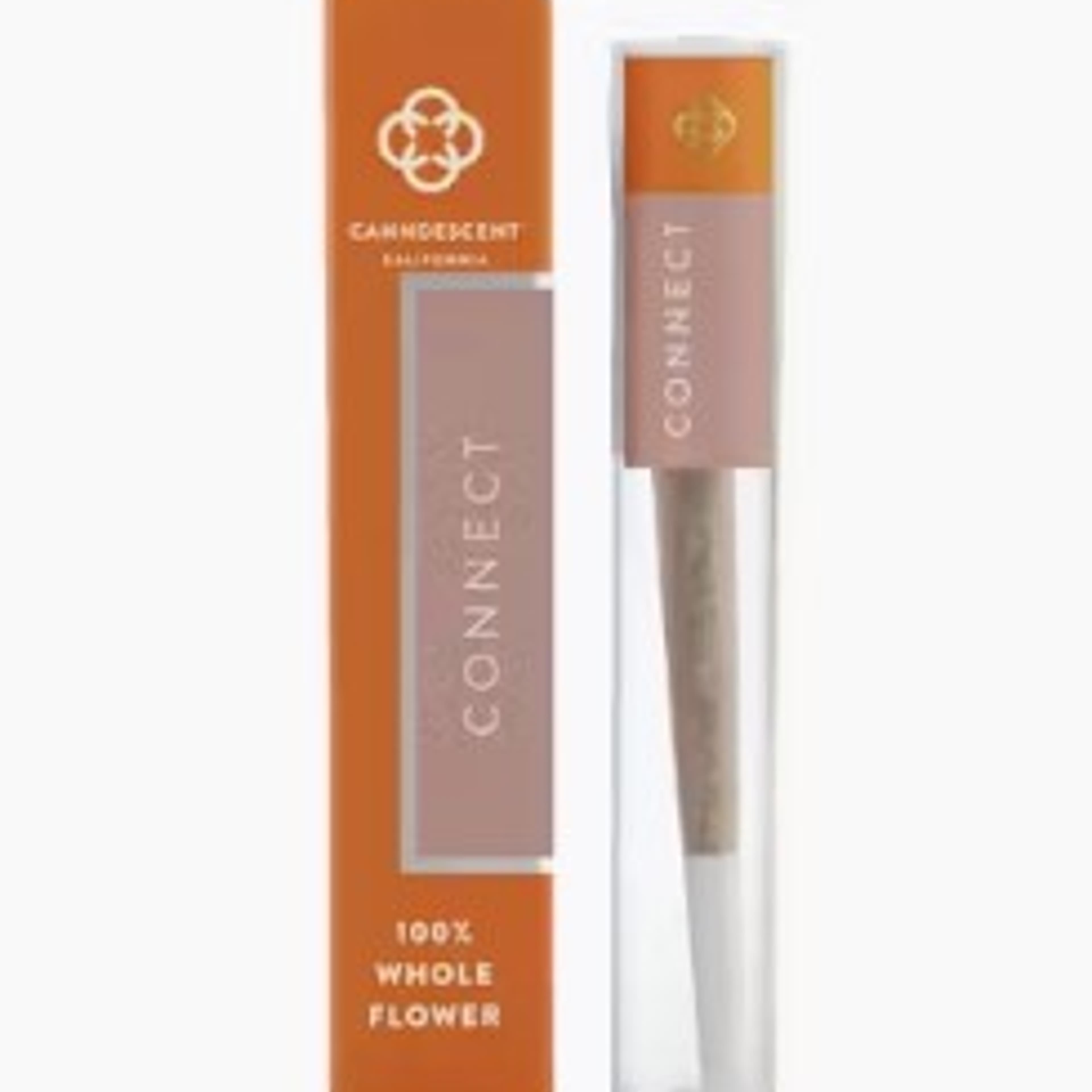 Connect Preroll 1g - Canndescent - PR - $10 - Pre-Rolls