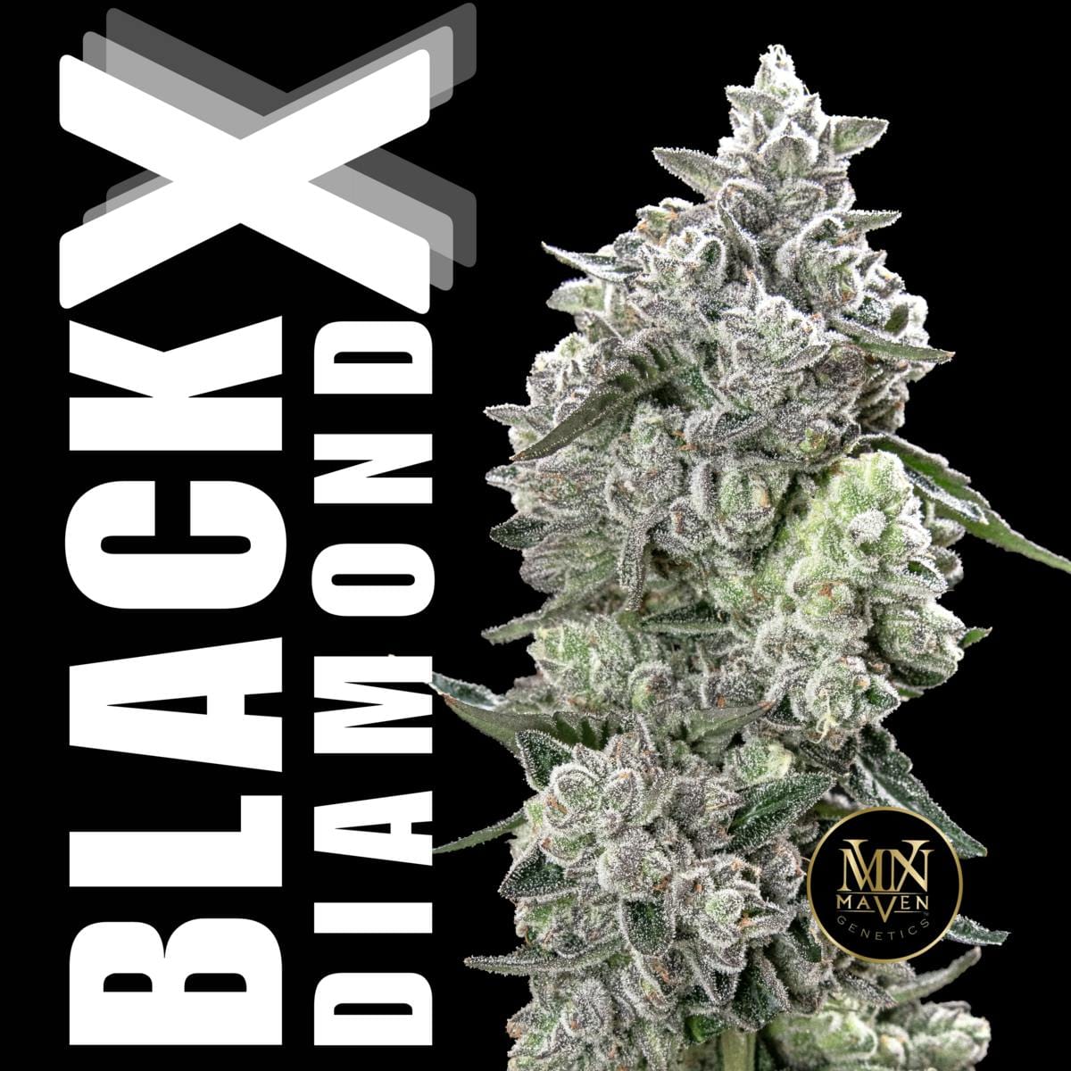 Black Diamond X Pre-Roll 5-Pack [2.5g] - Maven Genetics -  - $21.61 - Pre-Rolls
