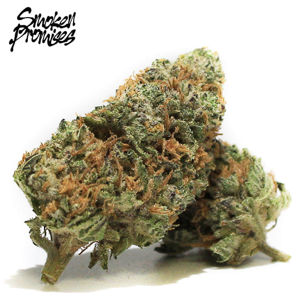 Smoken Promises - Garlic Ghost - 3.5g - Smoken Promises -  - $29.99 - Indoor Flowers