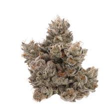Pink Guava 3.5g (indoor) - Sense -  - $29 - Flowers