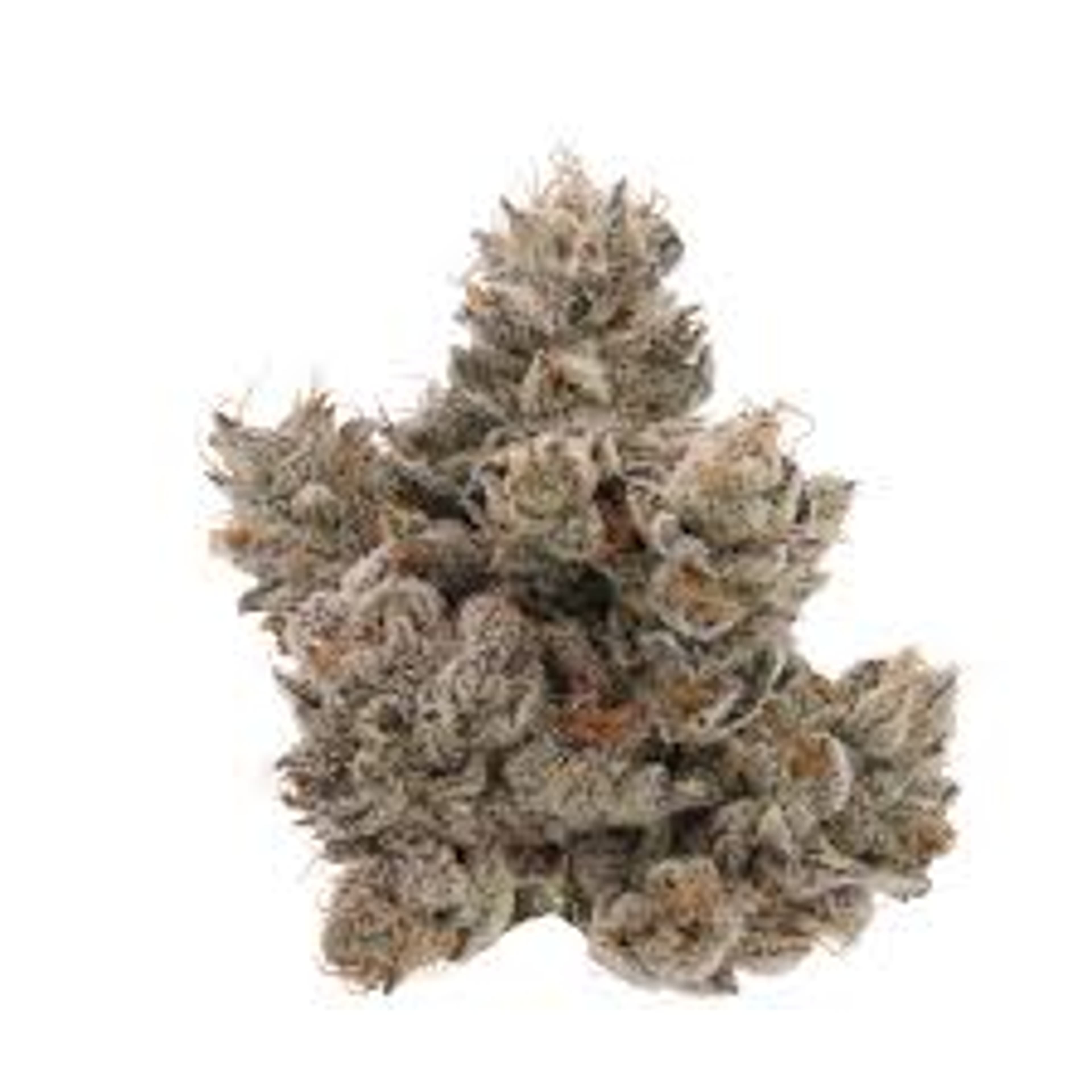 Pink Guava 3.5g (indoor) - Sense - - $29 - Flowers