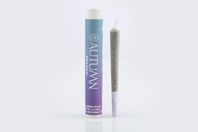Purple Carbonite | 1g Preroll