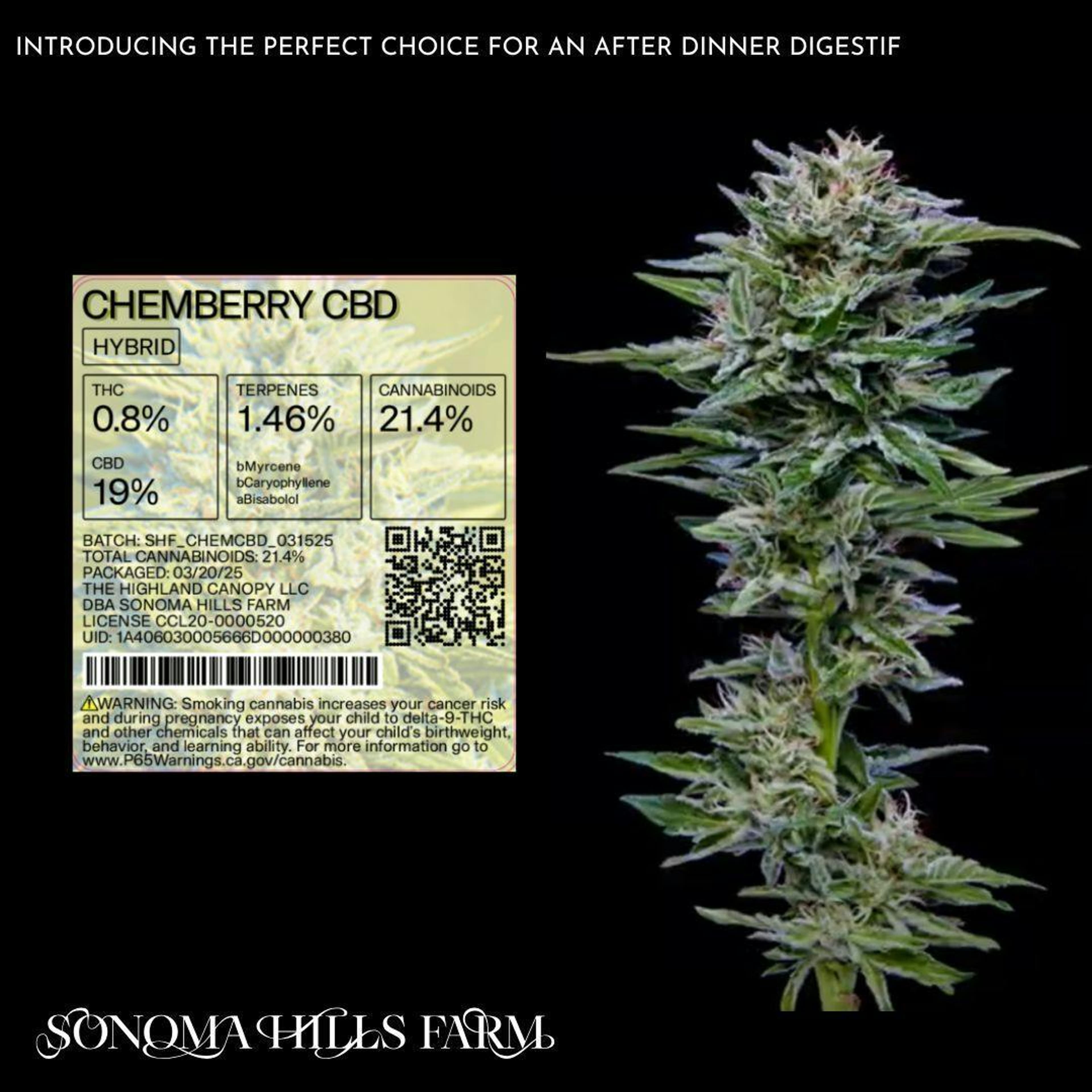 Chemberry CBD 3.5g - Sonoma Hills Farm - - $30 - Flower