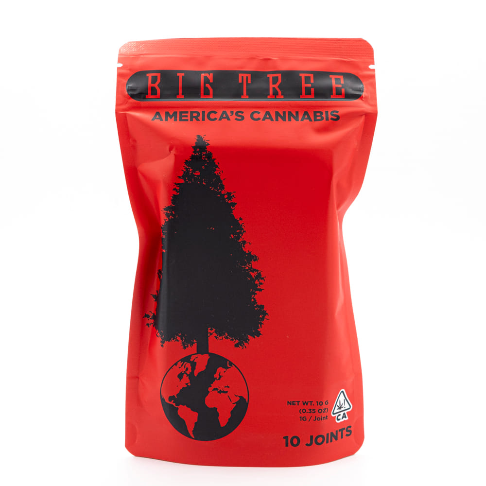 Big Tree — Pacific Cooler