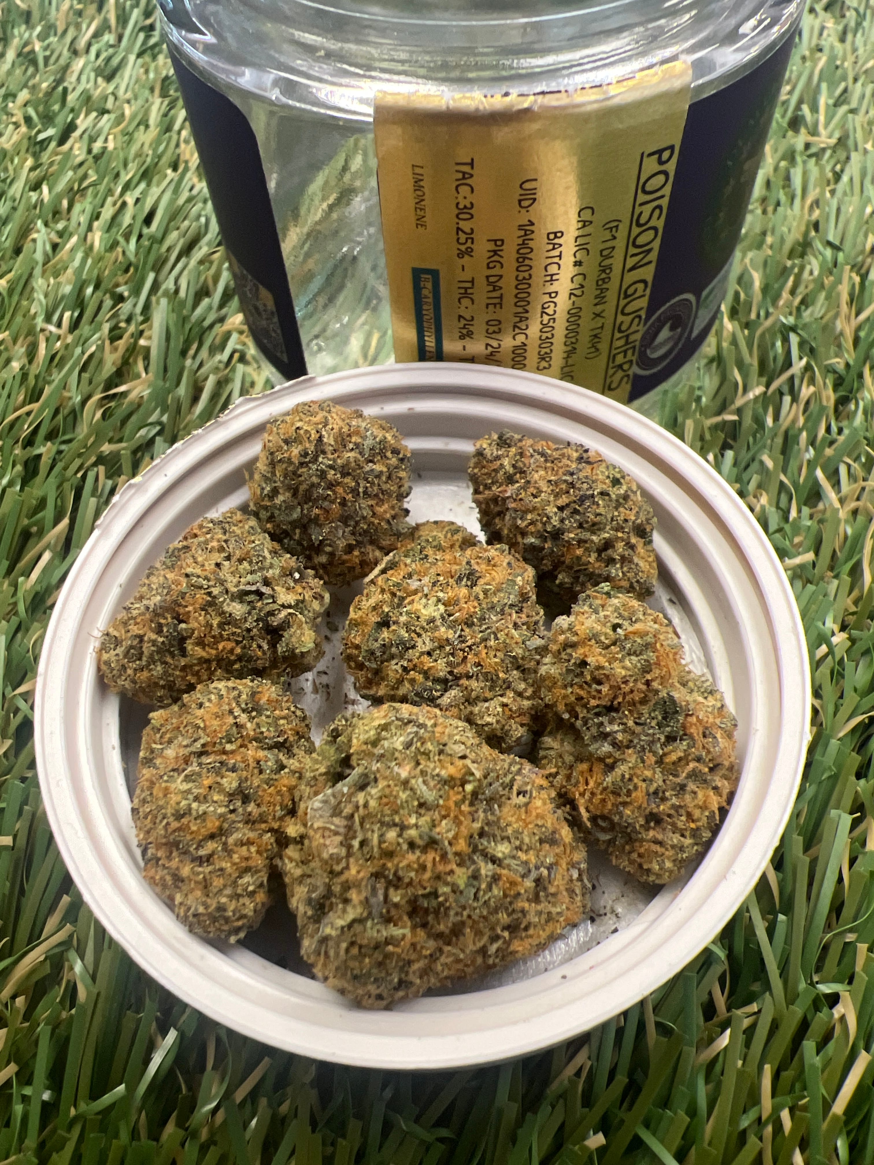 POISON GUSHERS 3.5G - MOON VALLEY CANNABIS -  - $36 - Flower