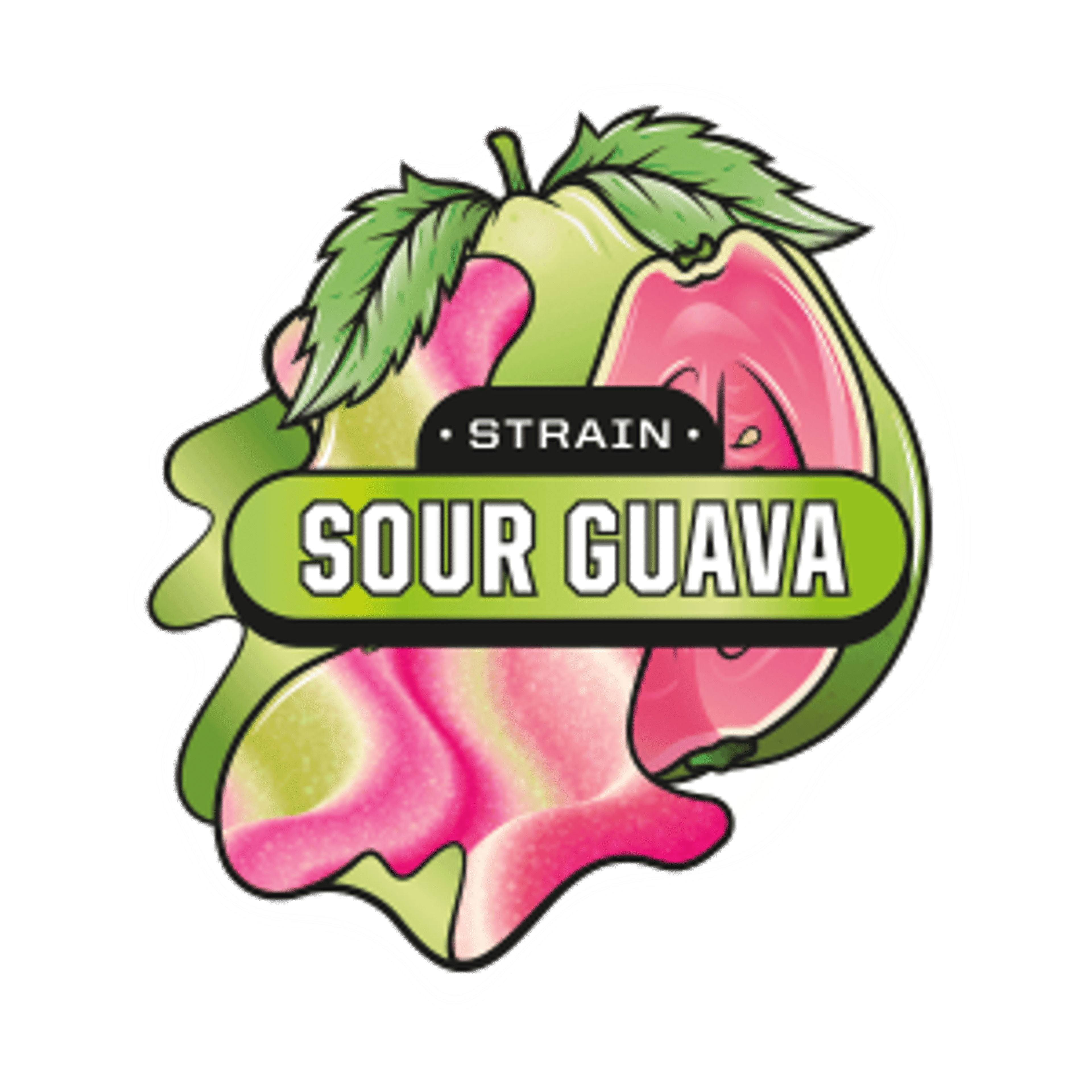 SOUR GUAVA 20CT 100MG - ABX - - $11 - Edibles