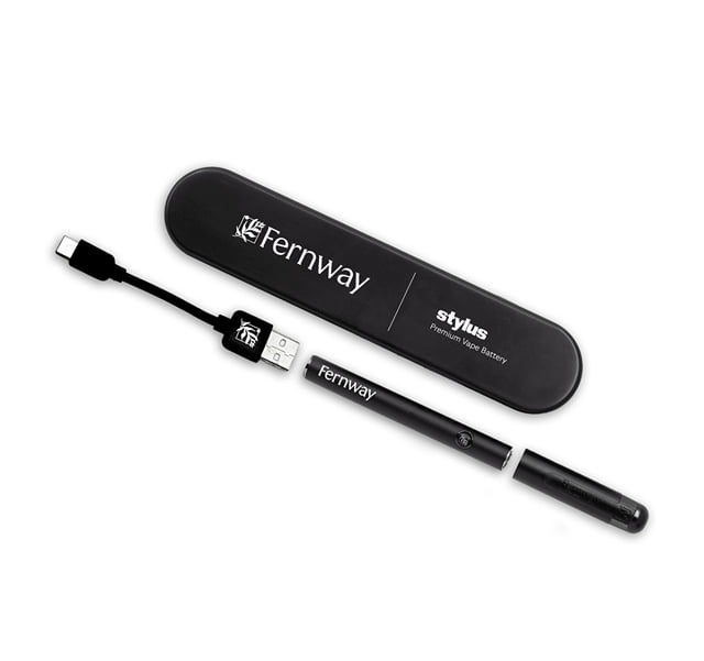 The Stylus