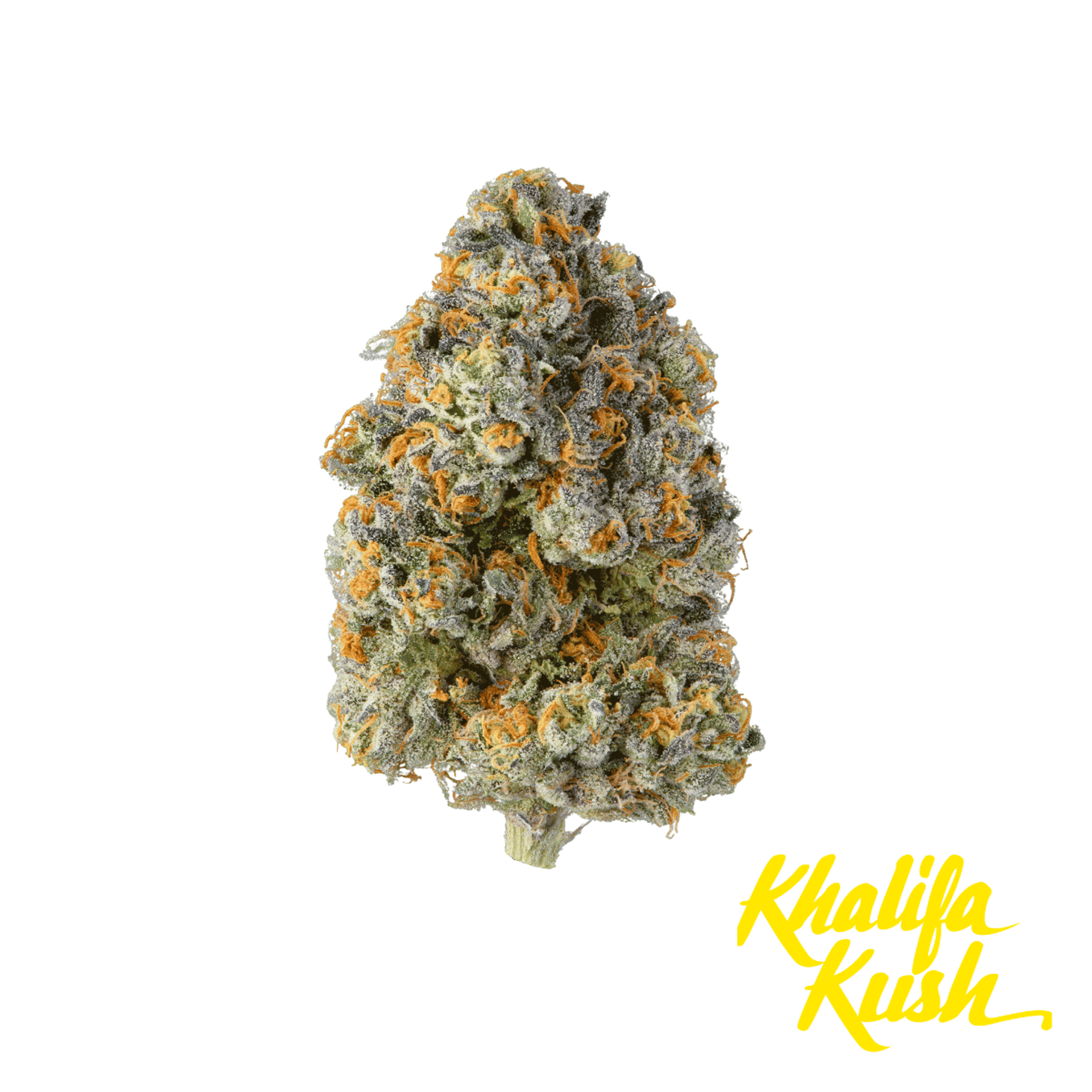 Khalifa Kush - Baby Turtle - 1g - Khalifa Kush - - $14.99 - Indoor Flowers