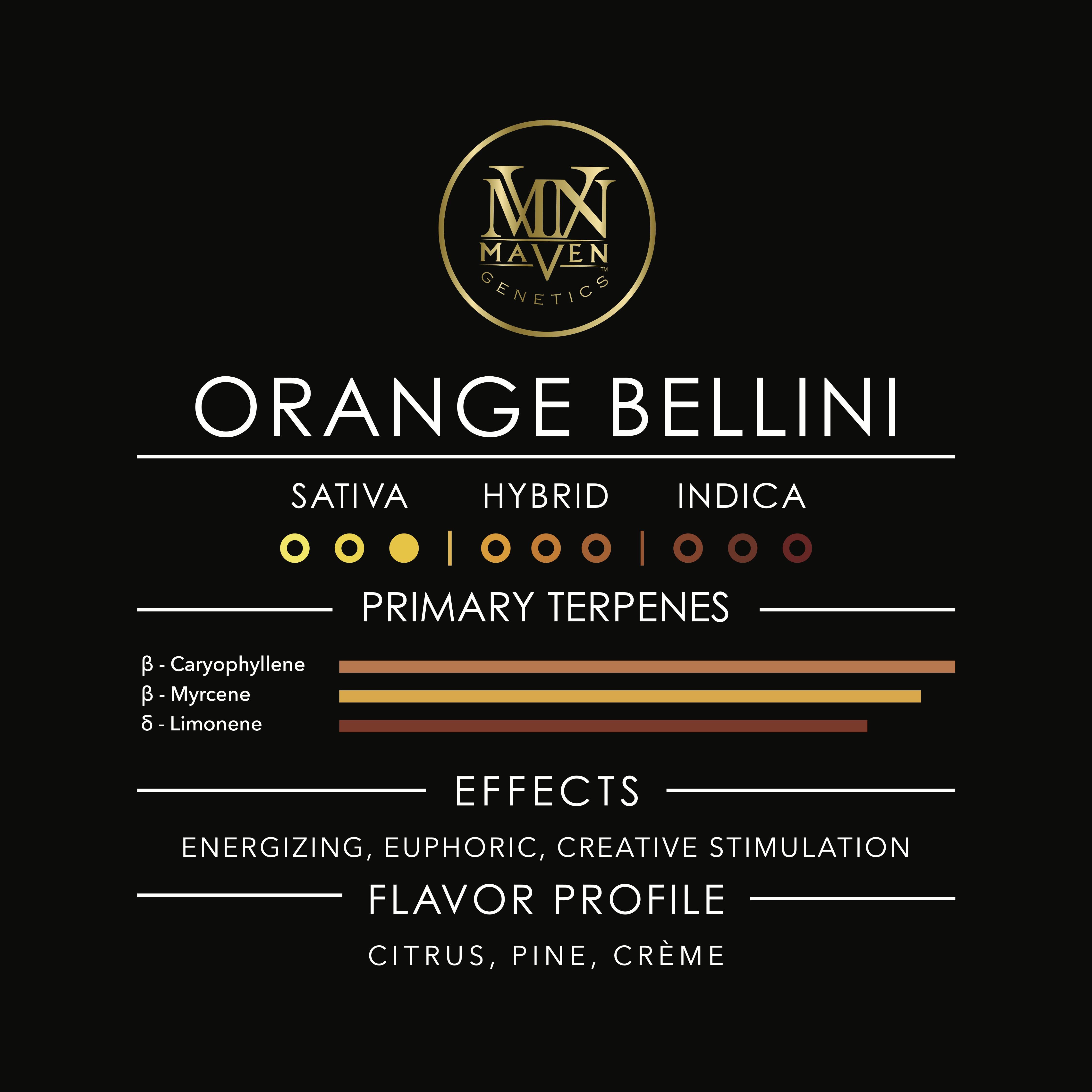 Orange Bellini Pre-Roll 5-Pack [2.5g] - Maven Genetics -  - $21.61 - Pre-Rolls