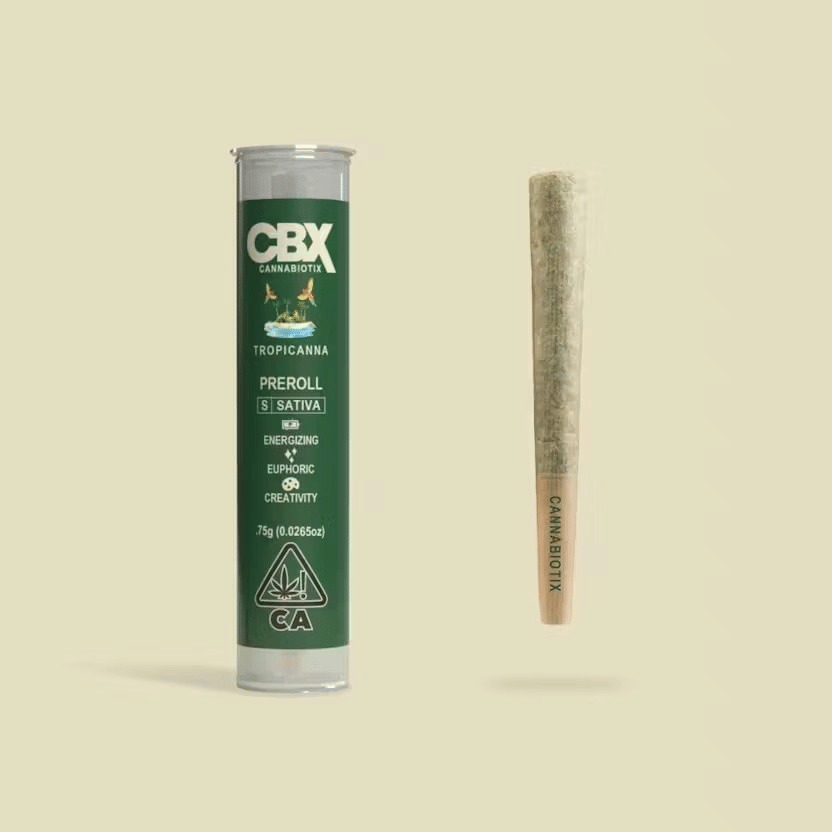 CBX — Tropicanna