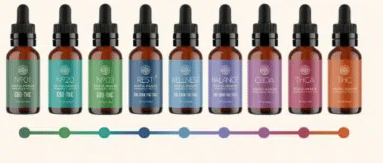 Wellness tincture 15ml - Solful -  - $25 - Tincture