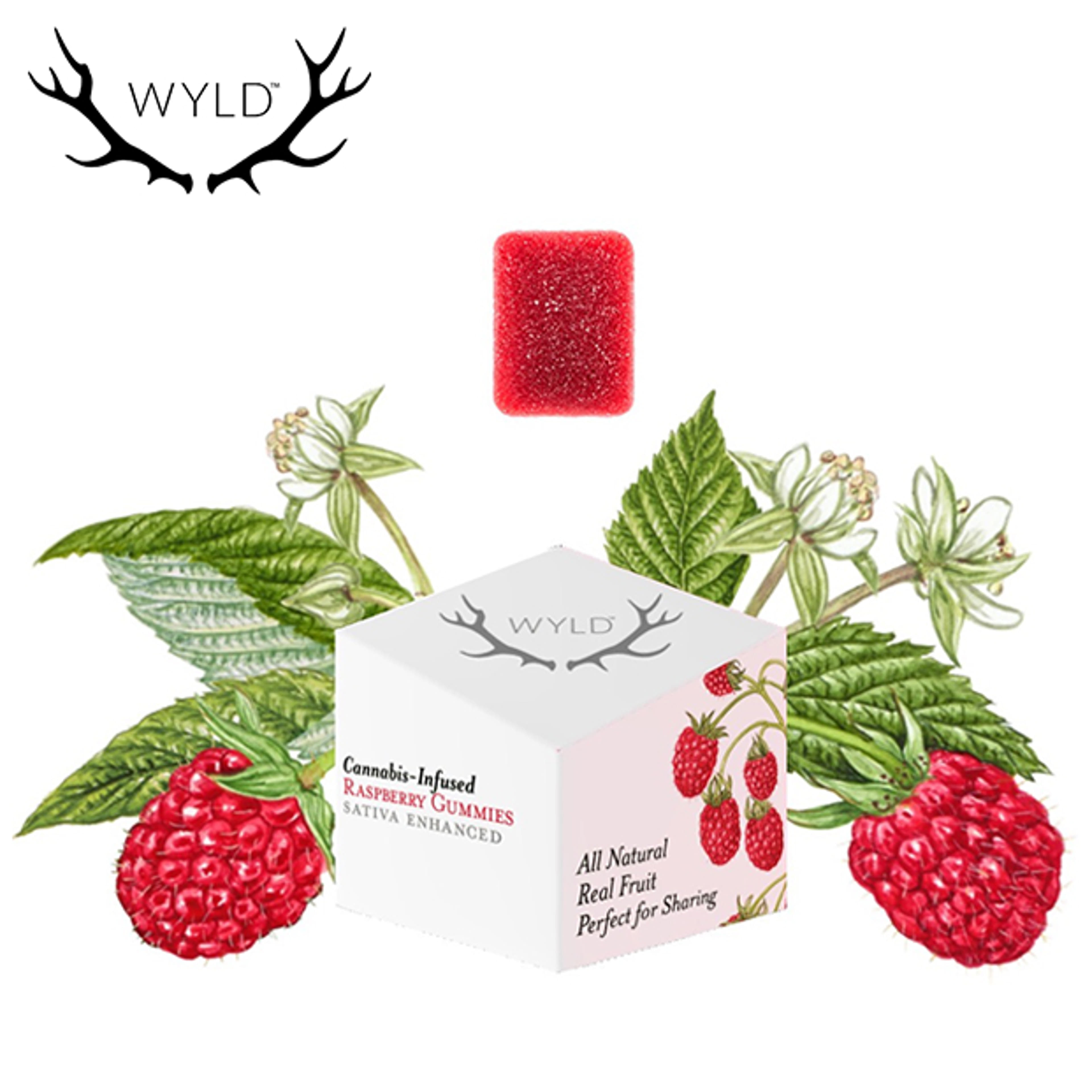 WYLD - Raspberry Gummies - 100mg - WYLD - - $12.99 - Edibles