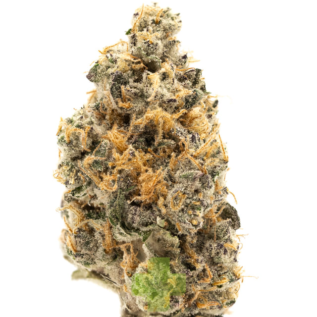 Northern Emeralds: 91 GMO