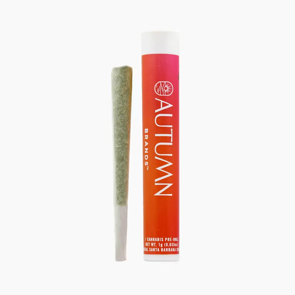 Slapz Pre-Roll (1G) - Autumn Brands - (1G) - $8 - Preroll