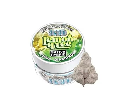 ICED — Lemon Tree