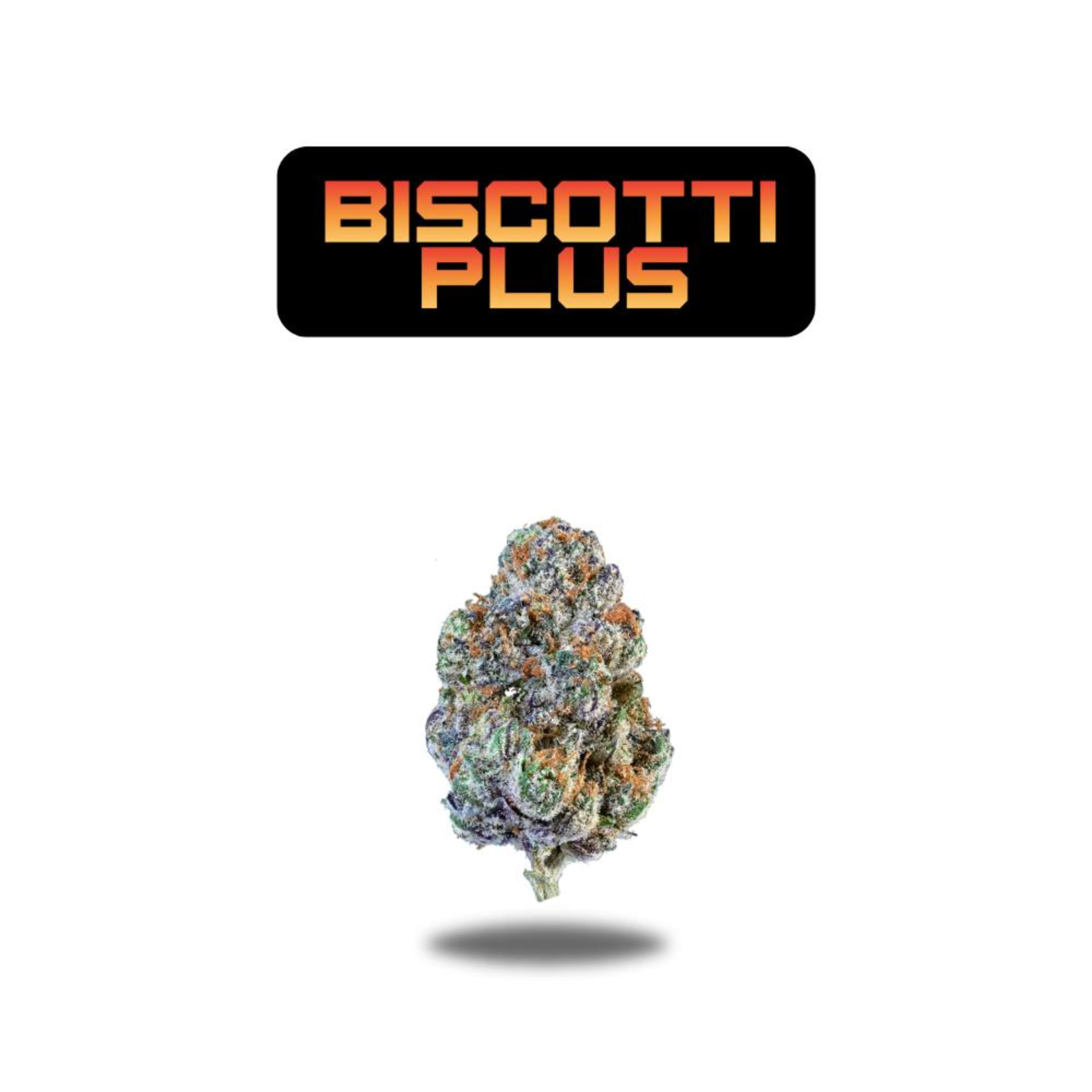 Biscotti Plus Premium Flower 3.5g - Black Label Series - Oakfruitland - - $25.93 - Flowers