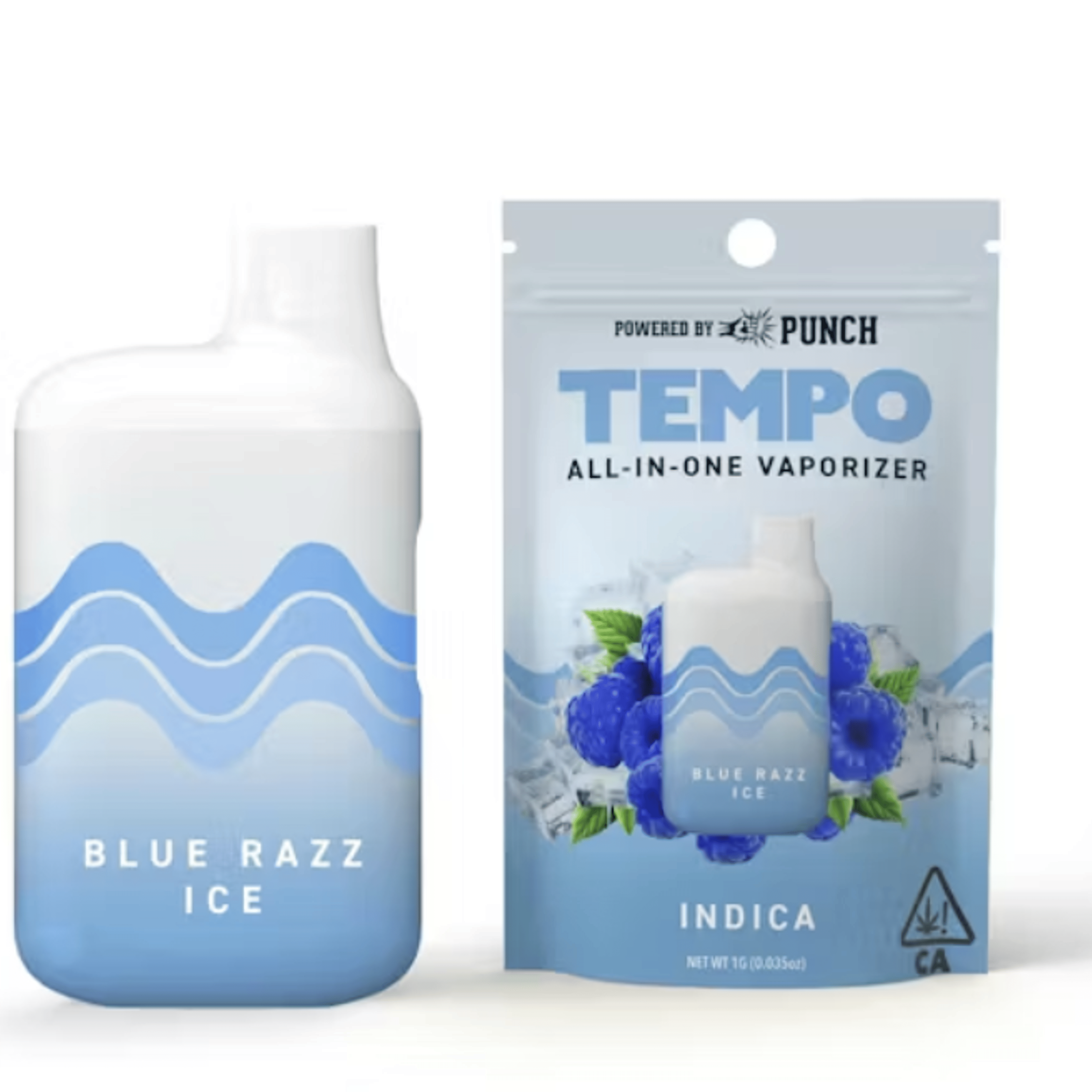 Blue Razz Ice 1g All In One Vape - Tempo - - $23 - Ready To Use Vapes