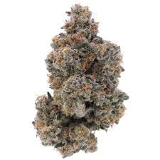 Golden Pear 3.5g  (indoor) - Sense -  - $29 - Flowers