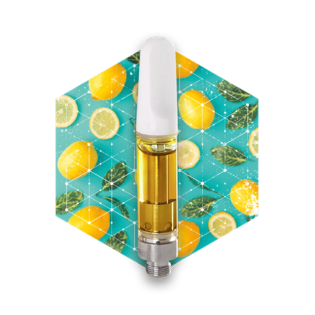 Lemon Slushie