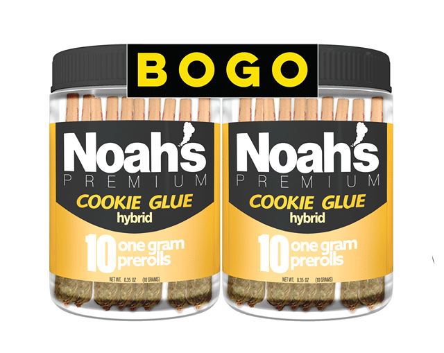 Noah's Premium 20pk Prerolls | Cookie Glue