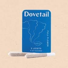 Dovetail — Governmint Oasis Preroll - 5-pack 0.5g - 2.5g