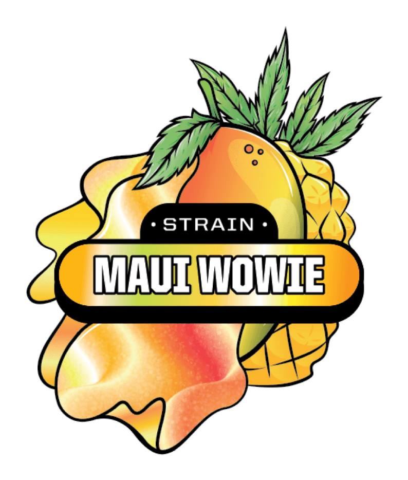 MAUI WOWIE100MG 20CT - ABX -  - $11 - Edibles
