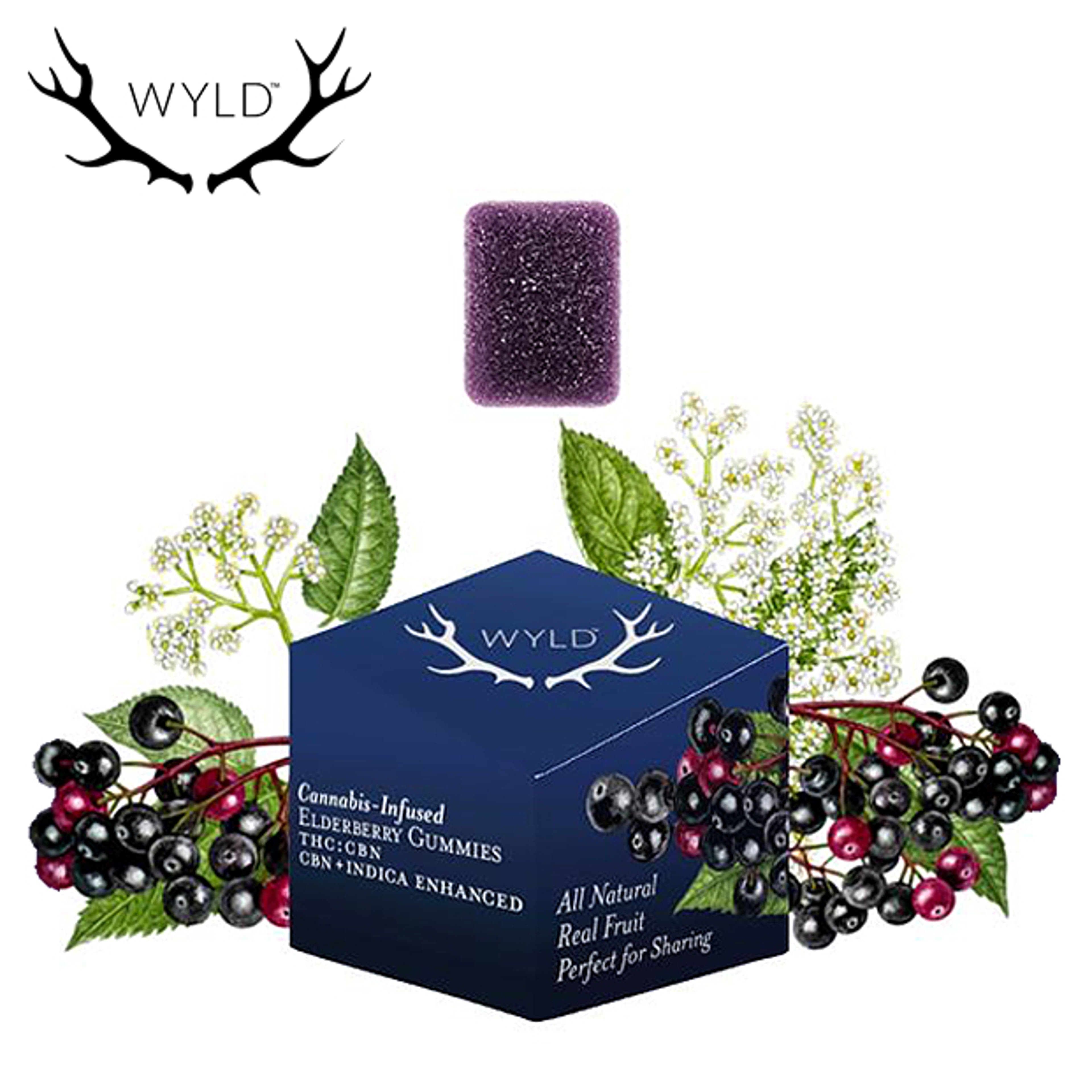 WYLD - Elderberry Gummies 2:1 - 100mg THC / 50mg CBN - WYLD - - $14.99 - Edibles