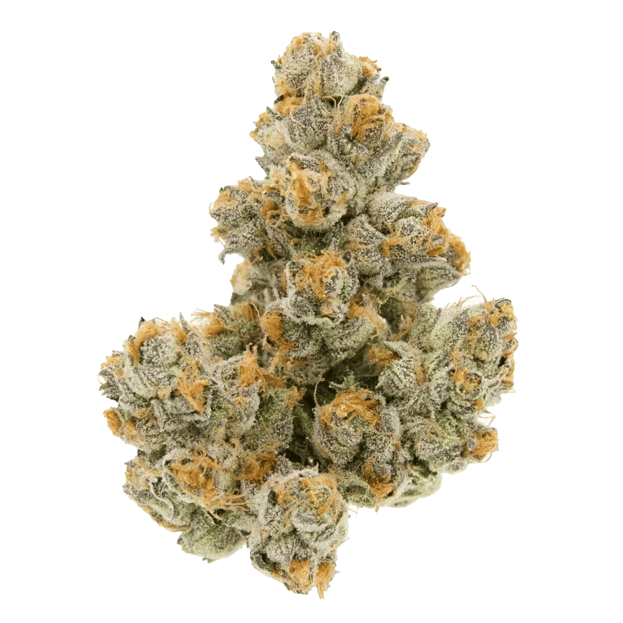 Tuscan Gelato - Jar - Indoor Flower - Sense - Eighth - $49.99 - Flower