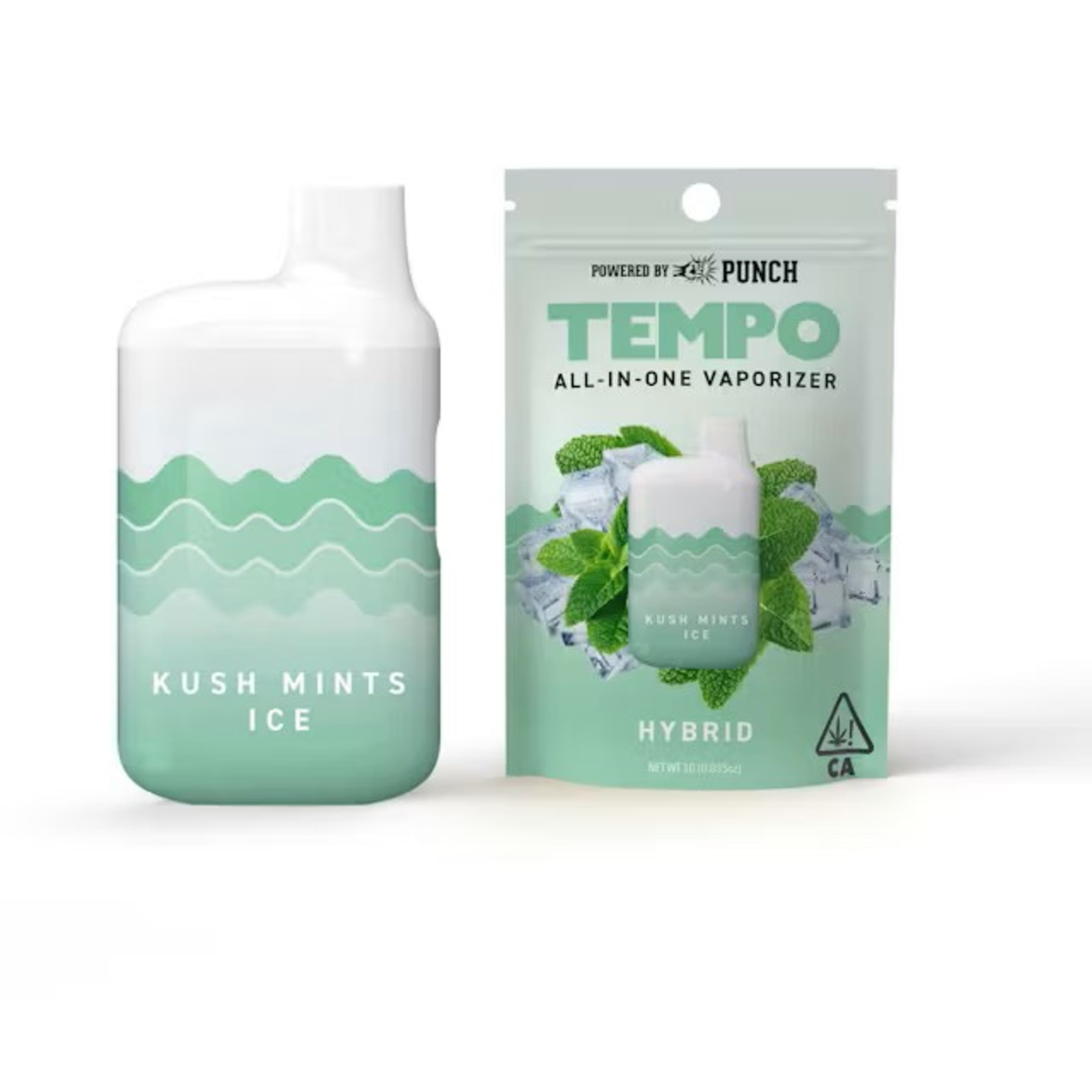 Kush Mints Ice 1g All In One Vape - Tempo - - $23 - Ready To Use Vapes