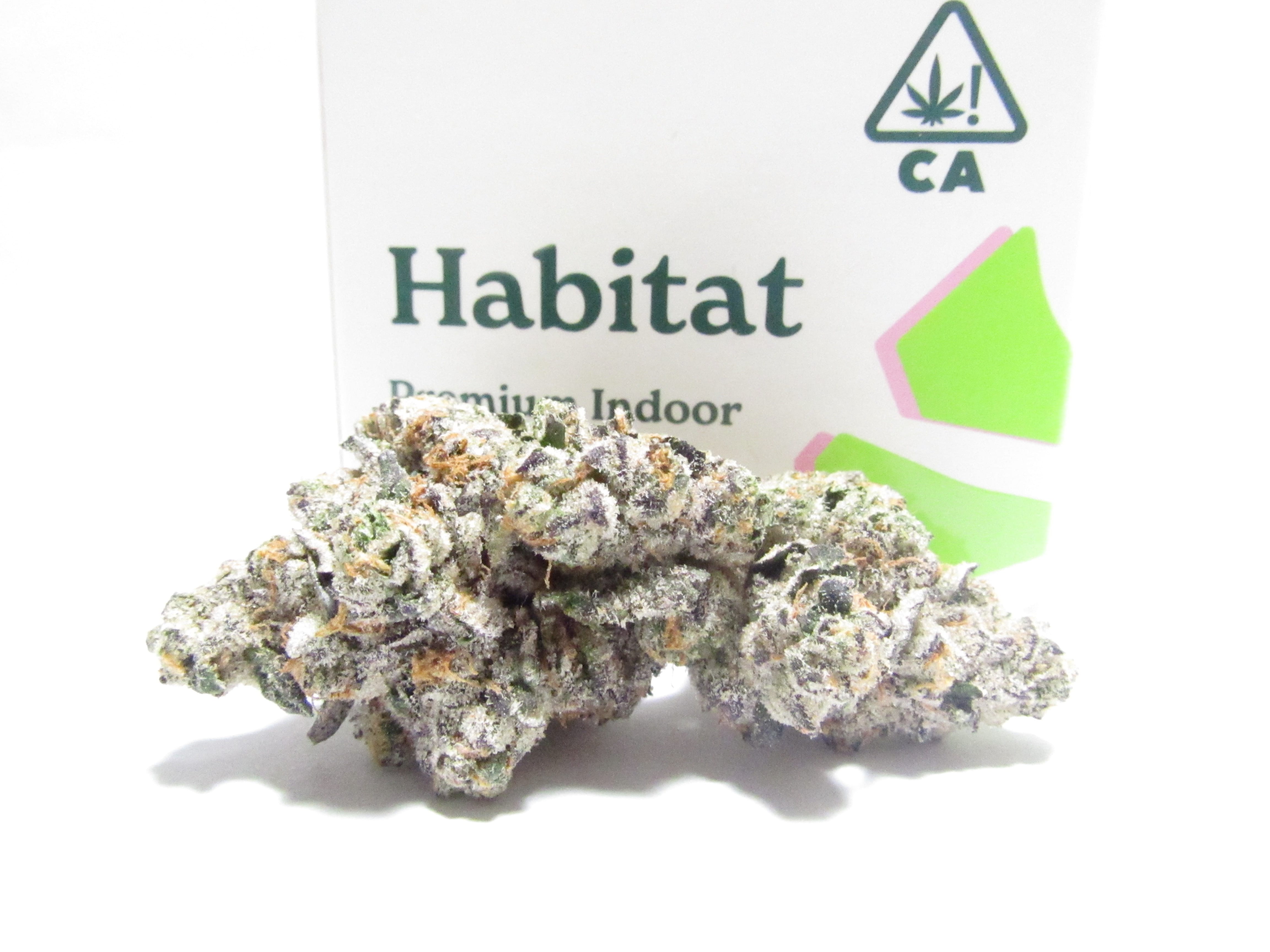 Habitat — Ronin OG