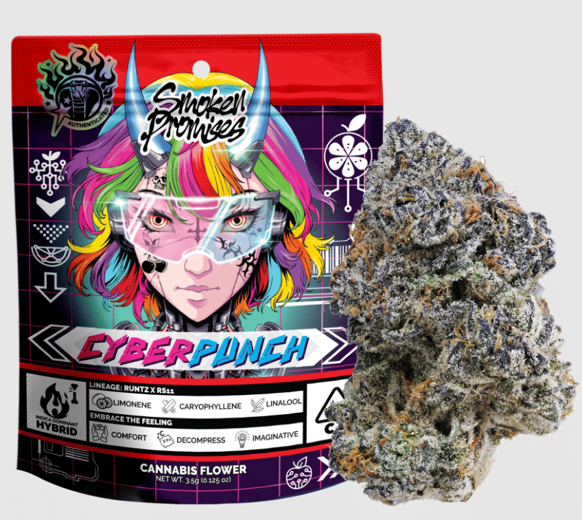 Smoken Promises — Cyberpunch