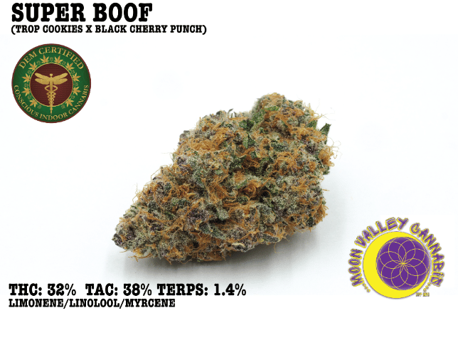 Moon Valley Organics: Sales Floor