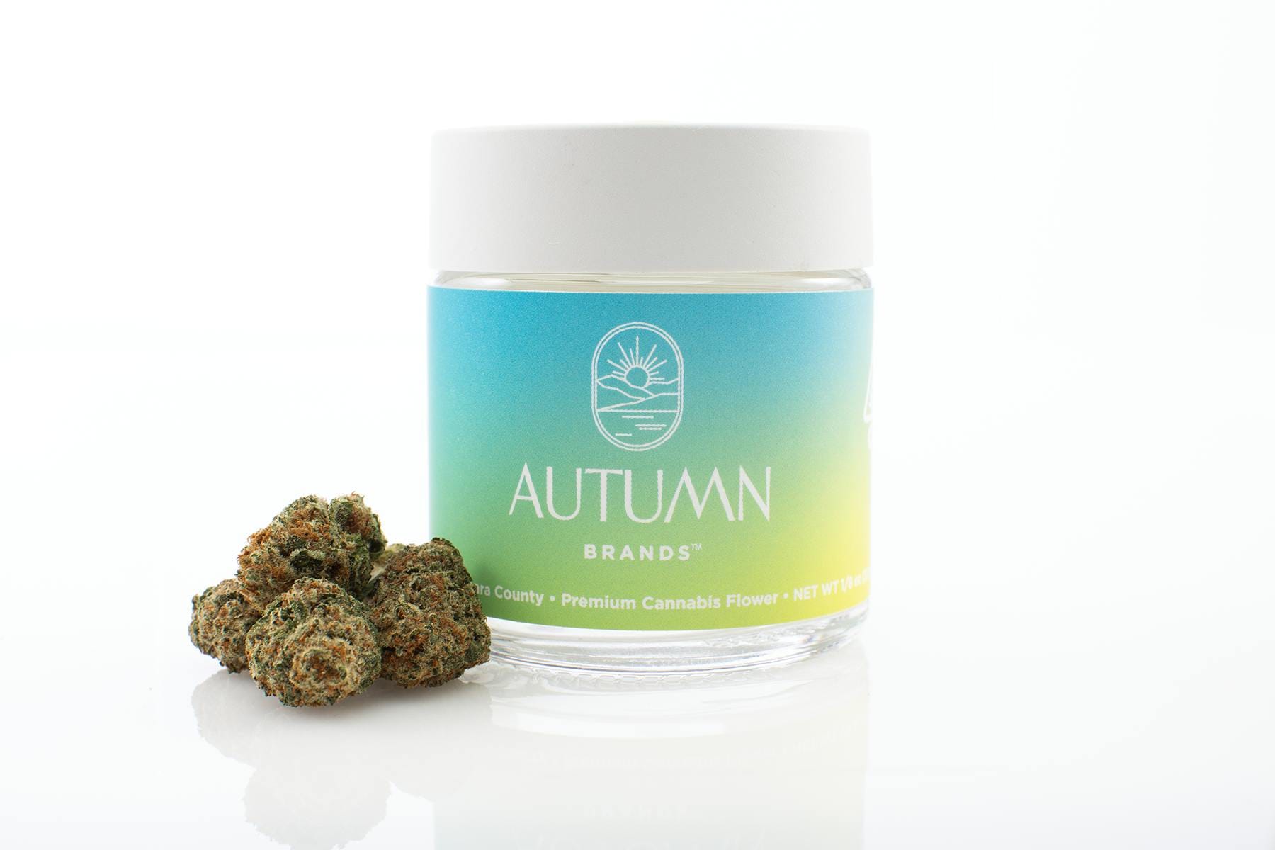 AUTUMN - Blue Dream CBD Flower - 3.5g - Autumn Brands - Jar - $40 - Flower