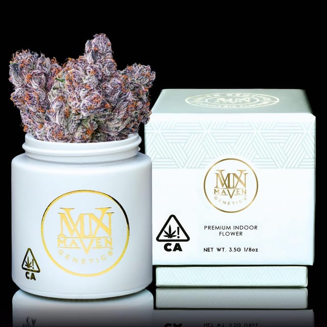 Maven Genetics — Chrome Dome