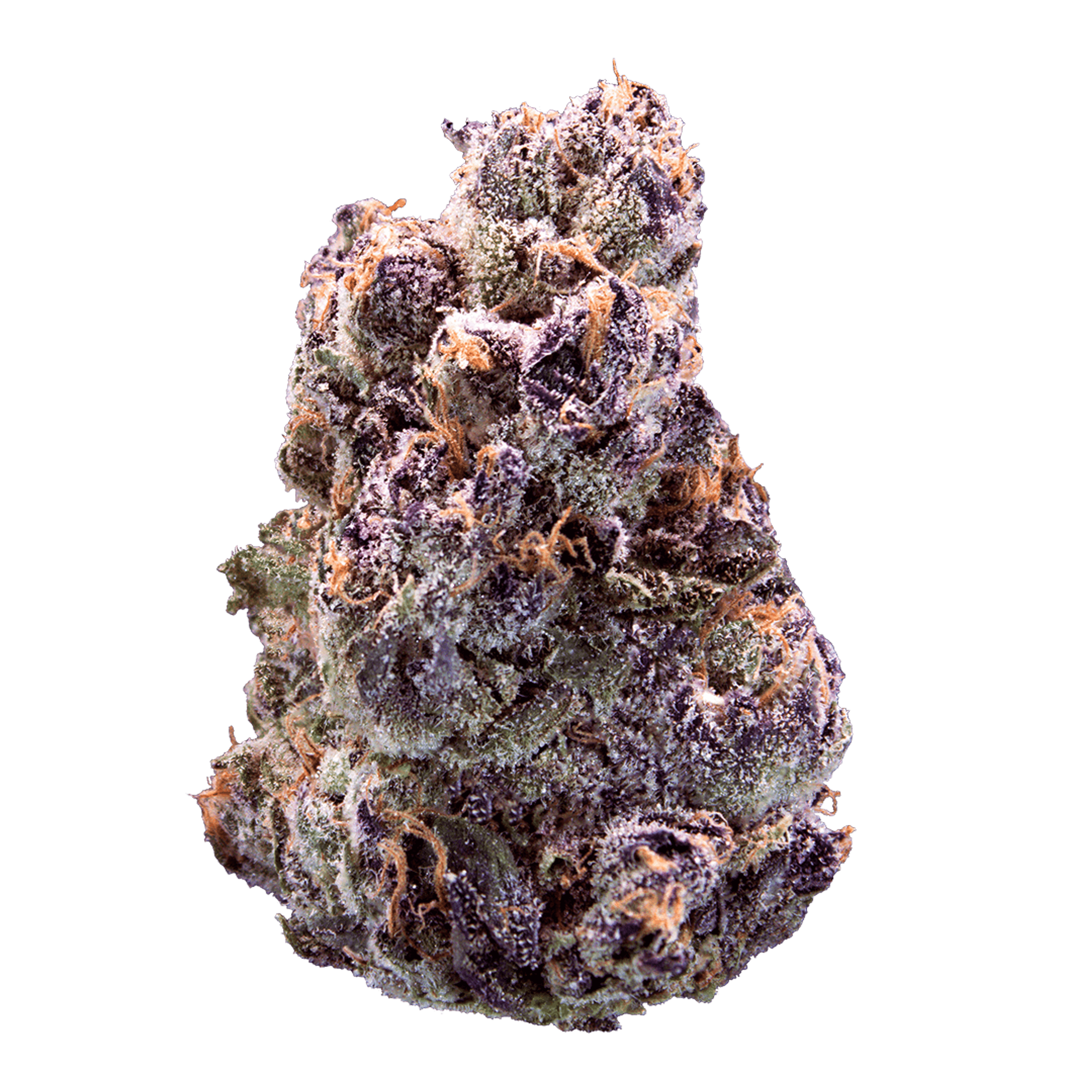 Maraschino Lemon Pop 3.5G - XOTX - - $36 - Flowers