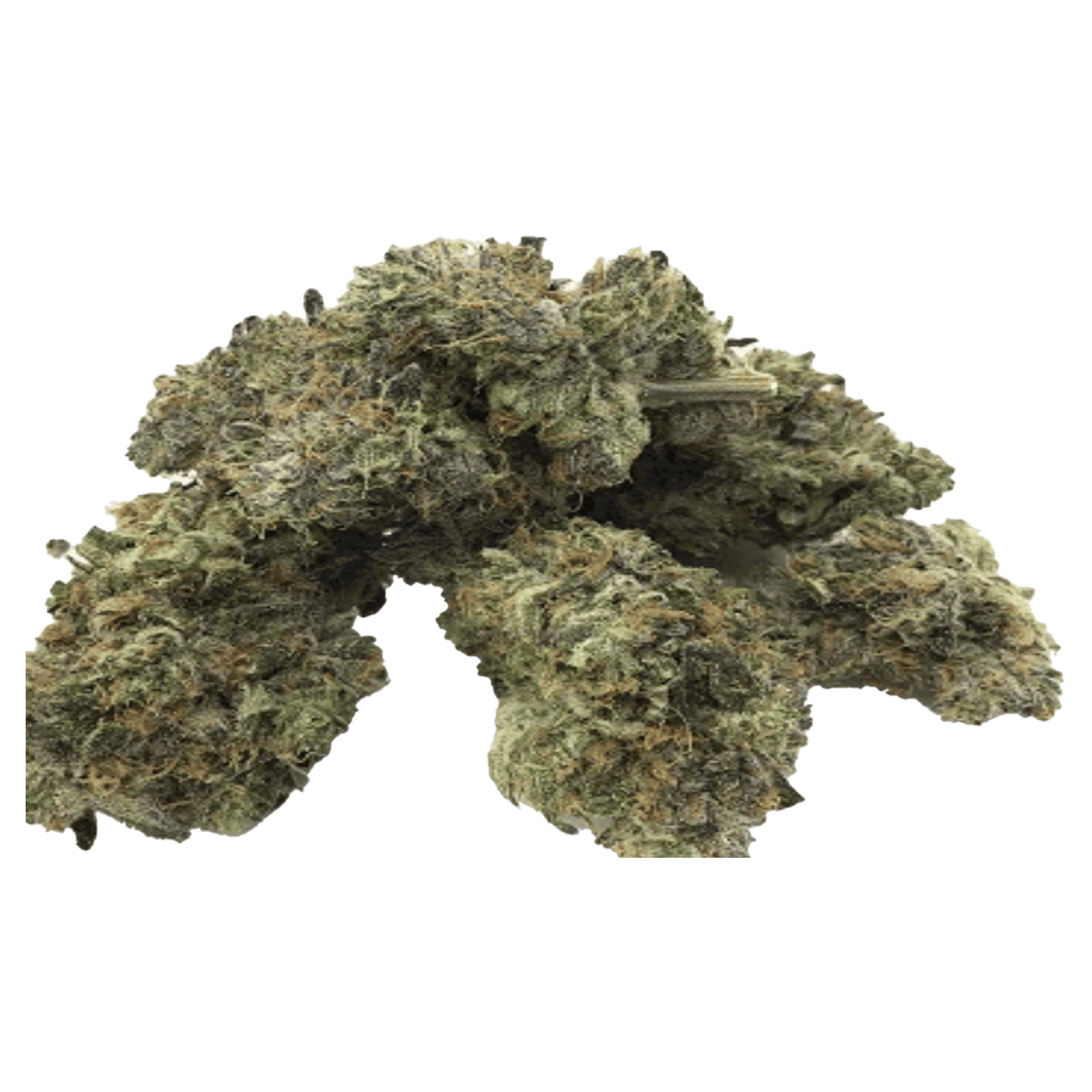 Fabulosa - Jar - Indoor Flower - Fig Farms - Eighth - $49.99 - Flower