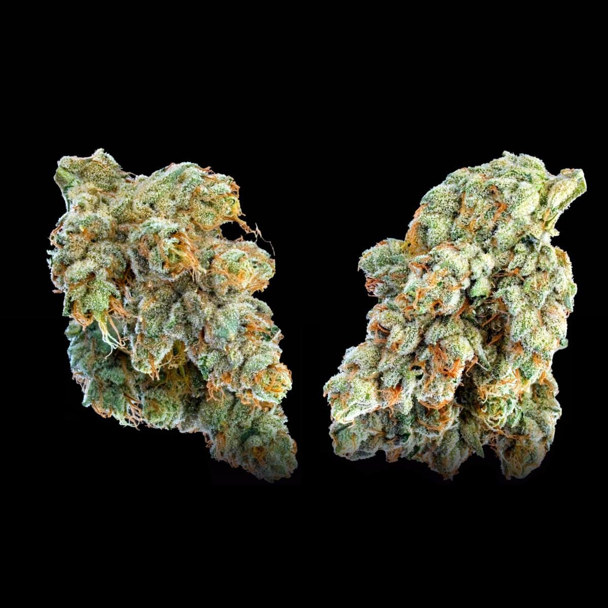 SFV OG [3.5g] - MAVEN GENETICS -  - $38.75 - Flowers