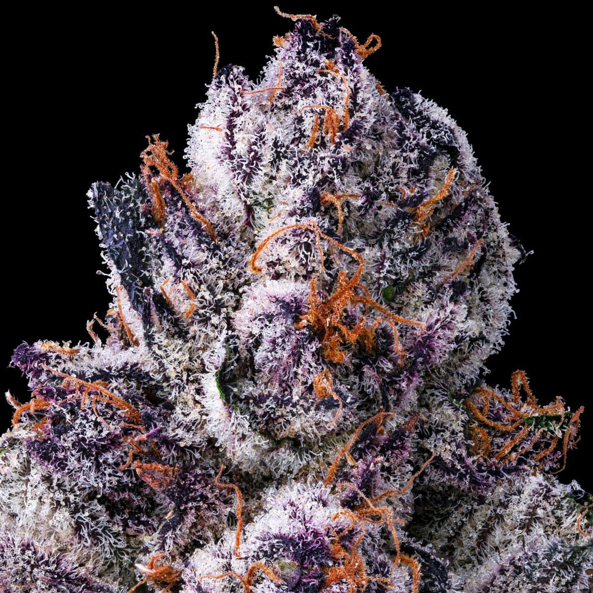 Chrome Dome [3.5g] Flower - Maven Genetics -  - $39.62 - Flowers