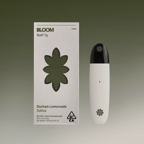The Bloom Brand: Durban Lemonade Live Surf