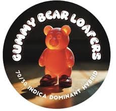 Team Elite Genetics — Bear Loafers