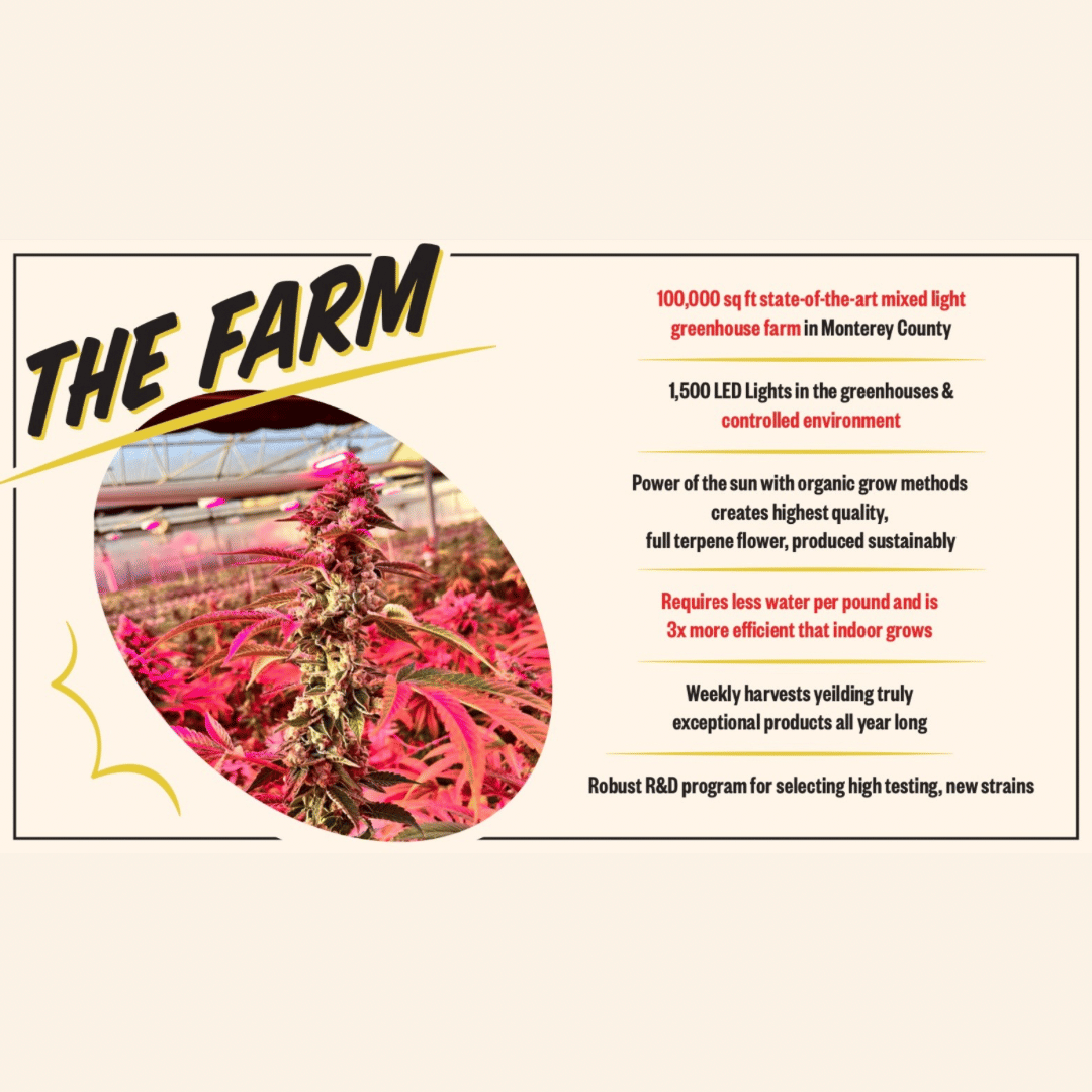 PAPAYA PUNCH 3.5G - DOVETAIL -  - $9.50 - Flowers