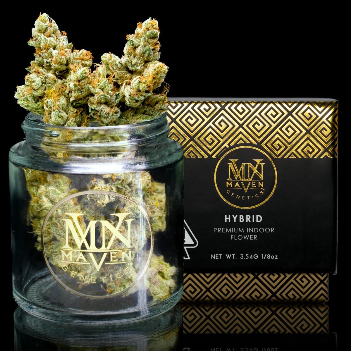 Maven Genetics: SFV OG