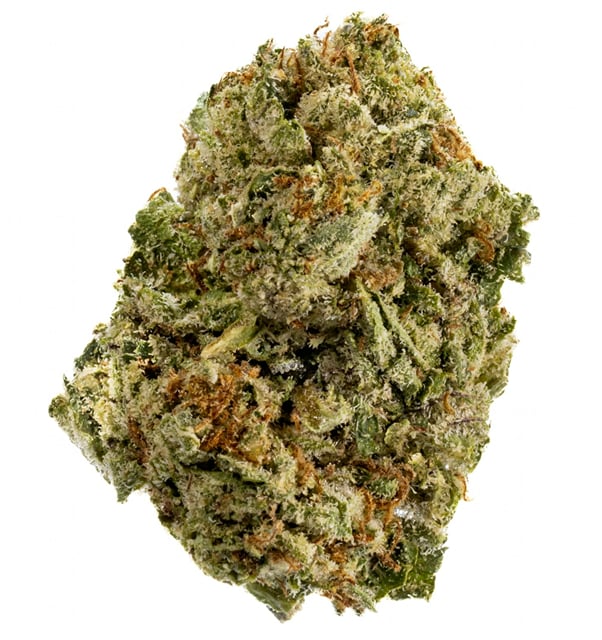 Tropical Zlushie - 28G Premium Flower